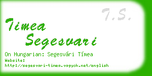 timea segesvari business card