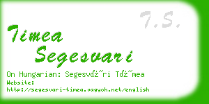 timea segesvari business card